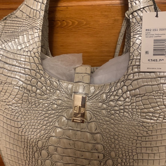 New Brahmin - Picture 5 of 9